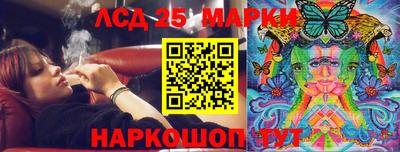 Альфа ПВП Ставрополь