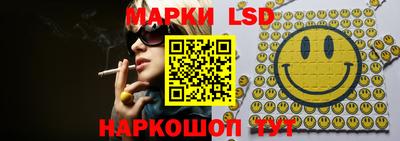 Альфа ПВП Ставрополь