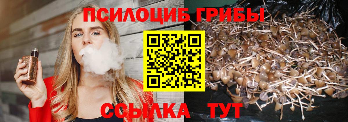 Псилоцибиновые грибы Psilocybine cubensis  Вход с VPN  купить наркотик  Отрадный  Галлюциногенные грибы GOLDEN TEACHER 
