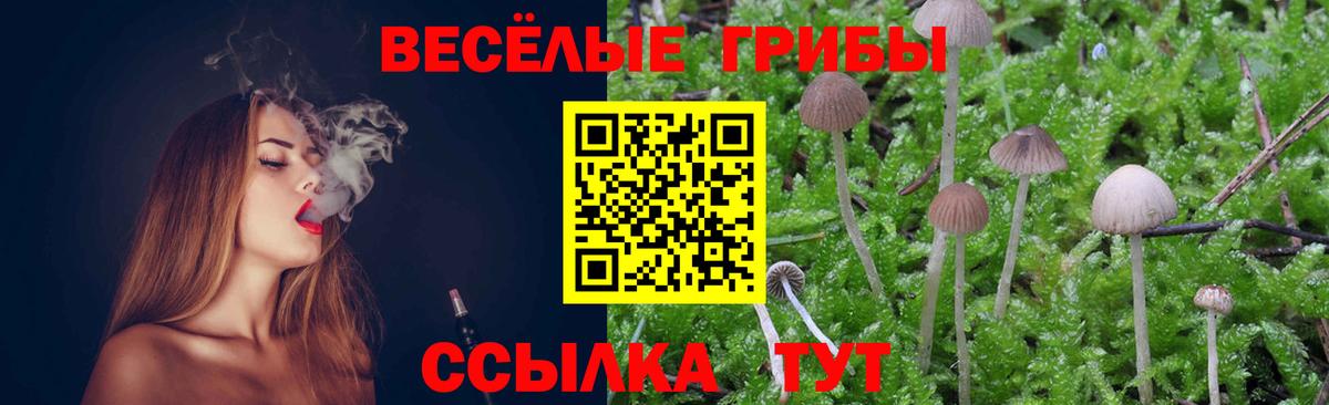 Галлюциногенные грибы мицелий Отрадный
